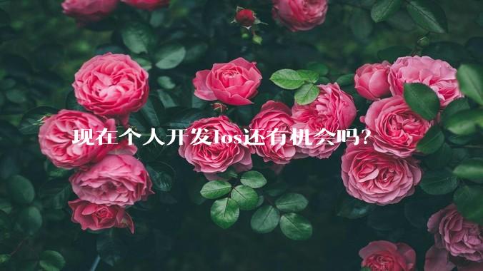 现在个人开发ios还有机会吗？