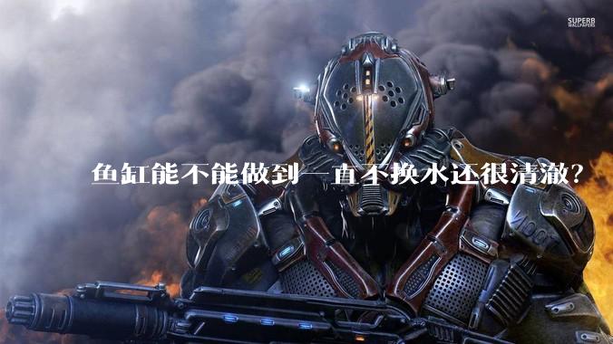 鱼缸能不能做到一直不换水还很清澈？