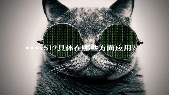 ***x512具体在哪些方面应用？